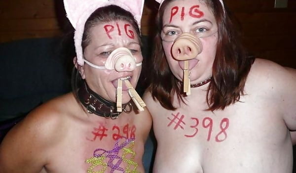 Fuck Pigs and Sissy Fuck pigs #96511921
