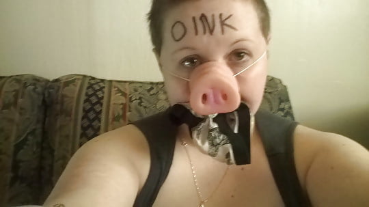 Fuck Pigs and Sissy Fuck pigs #96511929