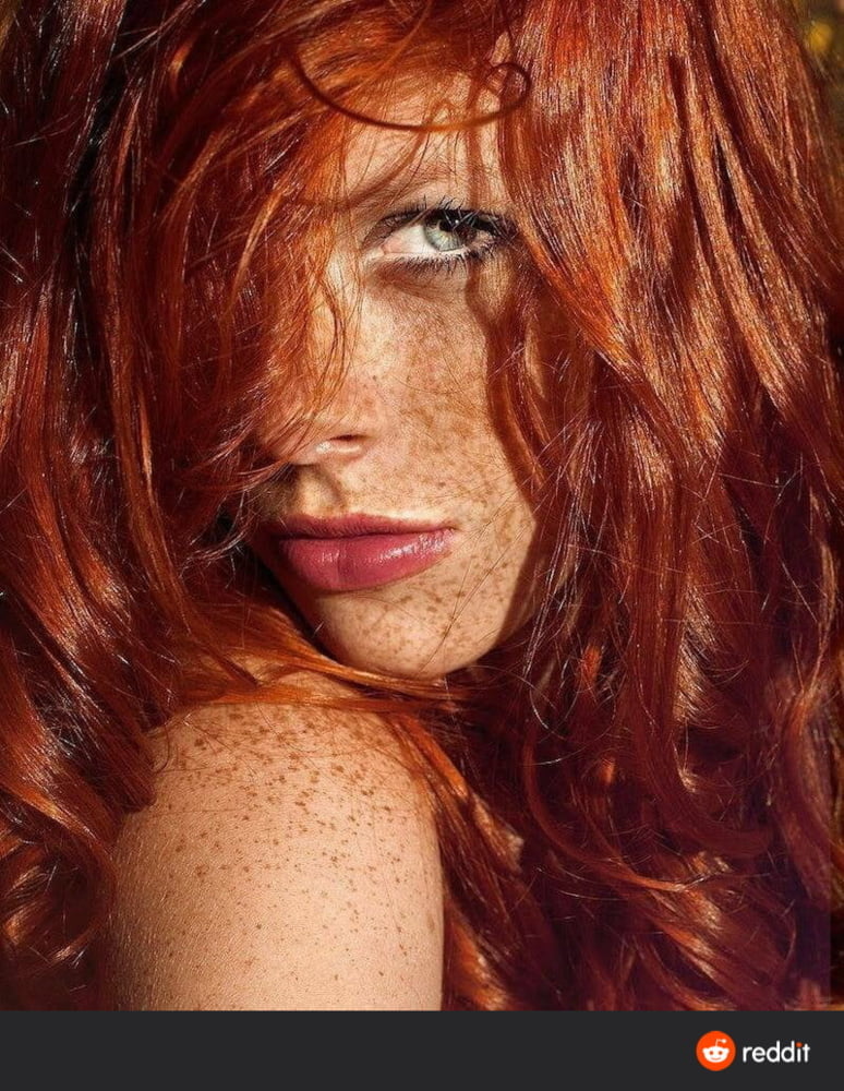 Do you like redheads the ginger gallery. 219
 #87612320