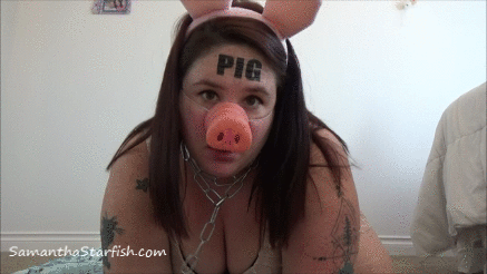 Hucow pig gif #94147912