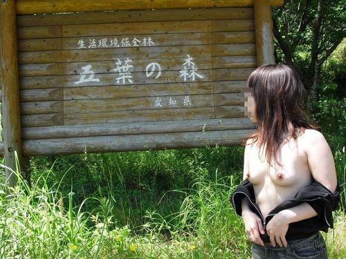 Japanese amateur outdoor 1879 #88147010