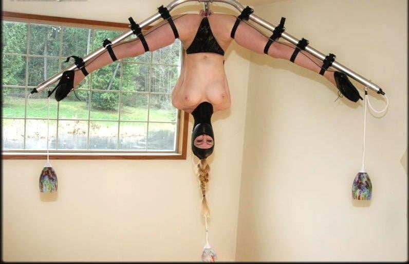 Geschmackvolle inneneinrichtung
 #93248653