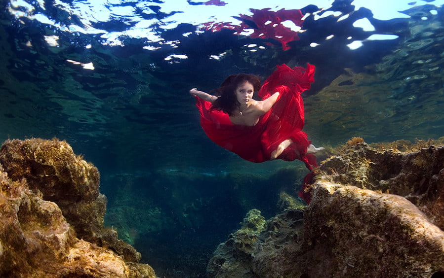 under the water #102943714