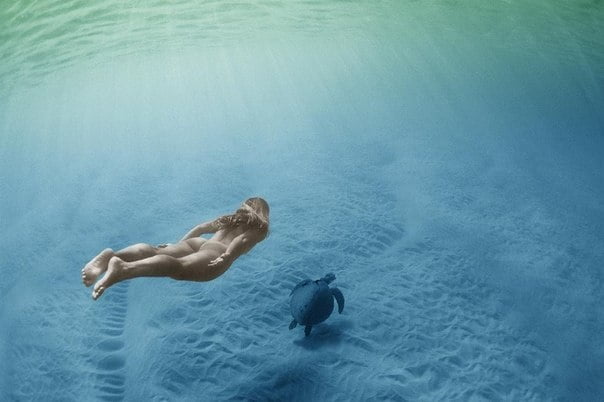 Bajo el agua
 #102943925
