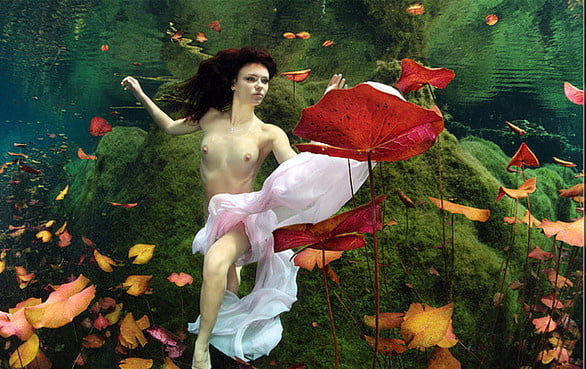 under the water #102944119