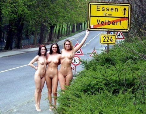 Warning and Traffic Signs 06 #89459321