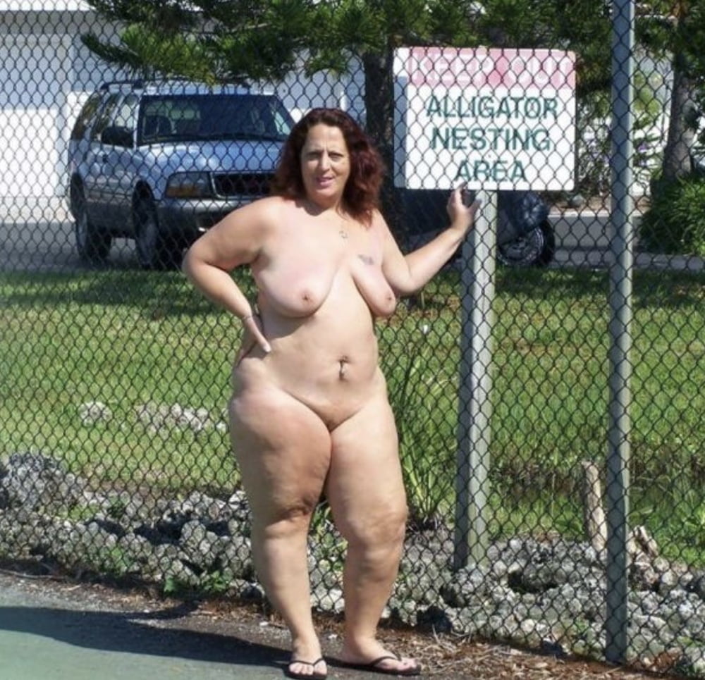 Warning and Traffic Signs 06 #89459327