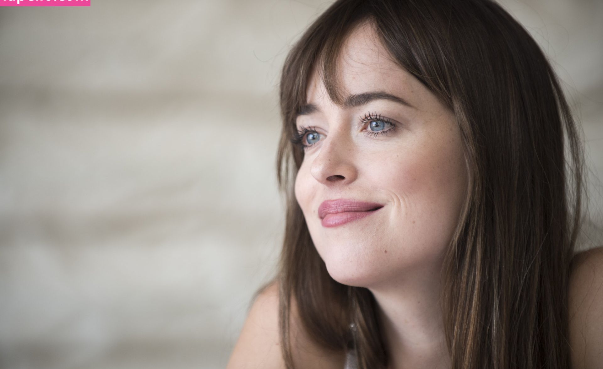 Dakota Johnson nackt #108897857