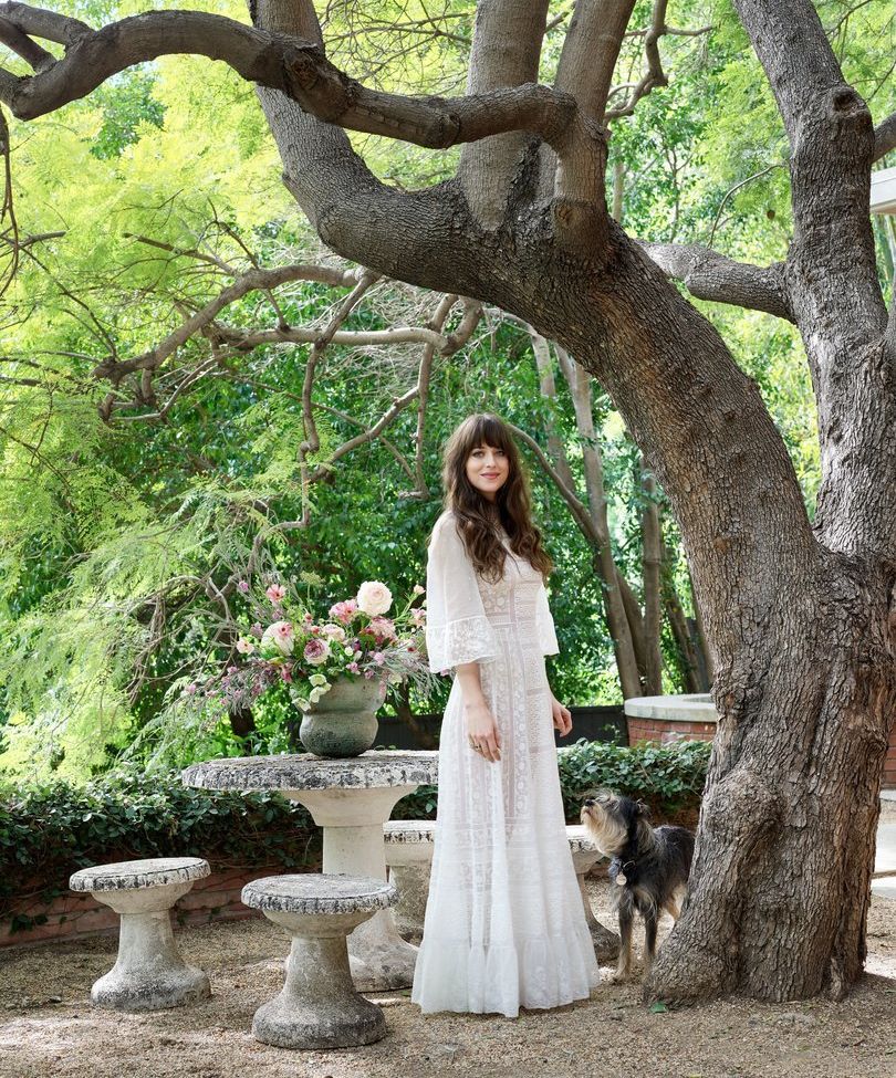 Dakota Johnson nude #108897897