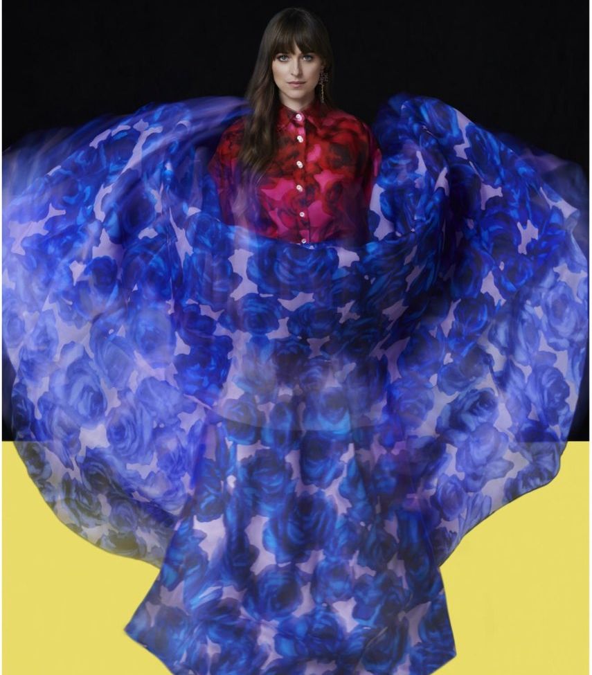 Dakota Johnson nude #108897928