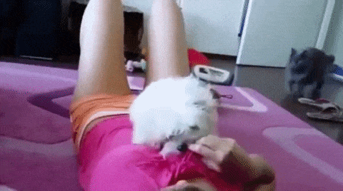 Mis tipos de kink 5
 #98015018