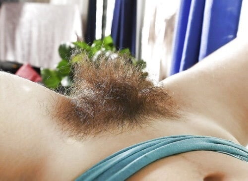 完璧な毛深い夢
 #94313195