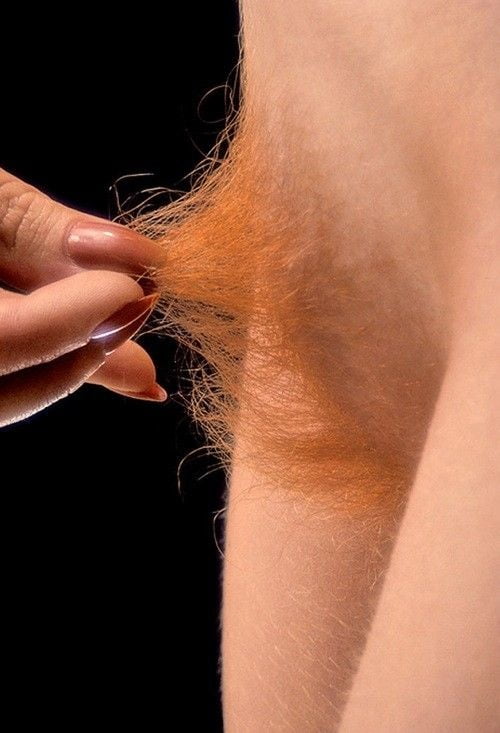 完璧な毛深い夢
 #94313198