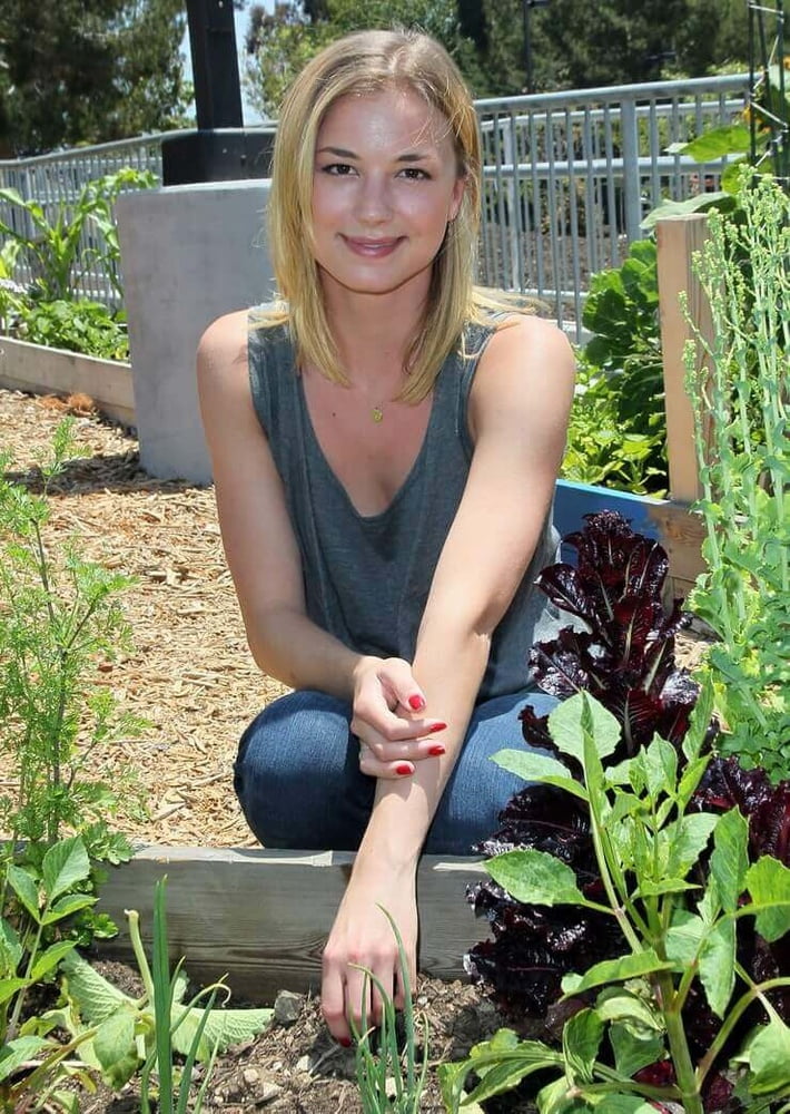 Emily vancamp
 #81900958