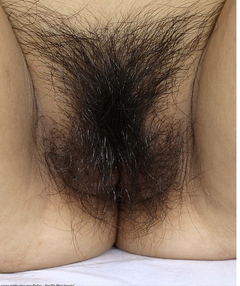 Hairy Pussy Closeup #92587352