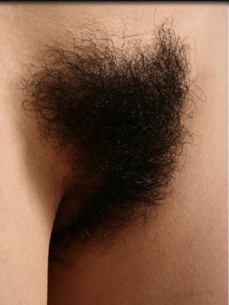 Hairy Pussy Closeup #92587469