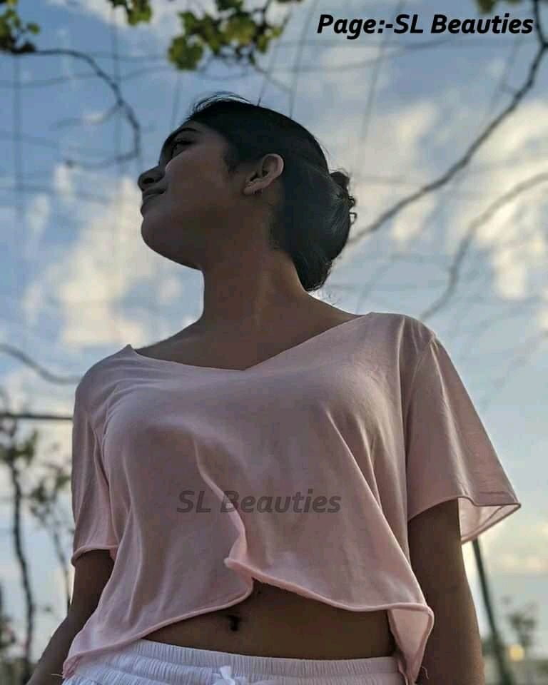SL Collection 01 #81152844