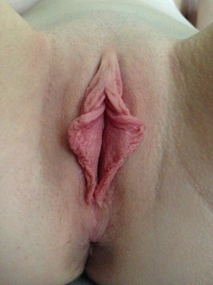 Exposed Wives from the Internet #103254490