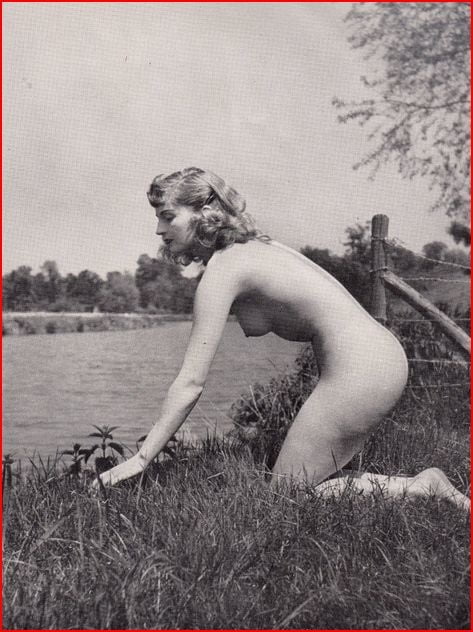 Personnes nues de photos vintage vol. 20
 #87952784