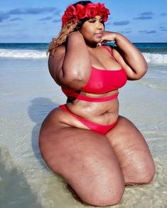 BBW Swimsuit #103511892