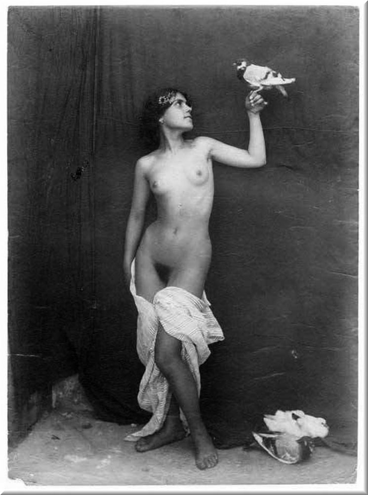 シュワルツとヴァイスの美しさ (1)
 #93173078