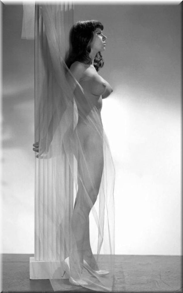 シュワルツとヴァイスの美しさ (1)
 #93173707