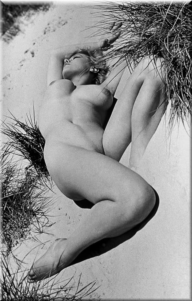 シュワルツとヴァイスの美しさ (1)
 #93174347