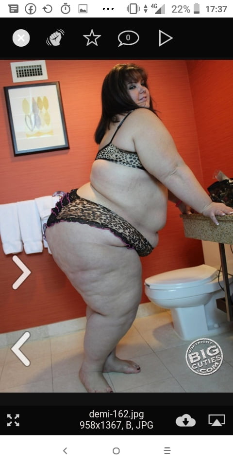 Hoodyman SSBBW 326 . Fat mom pigs exposed . #93575203