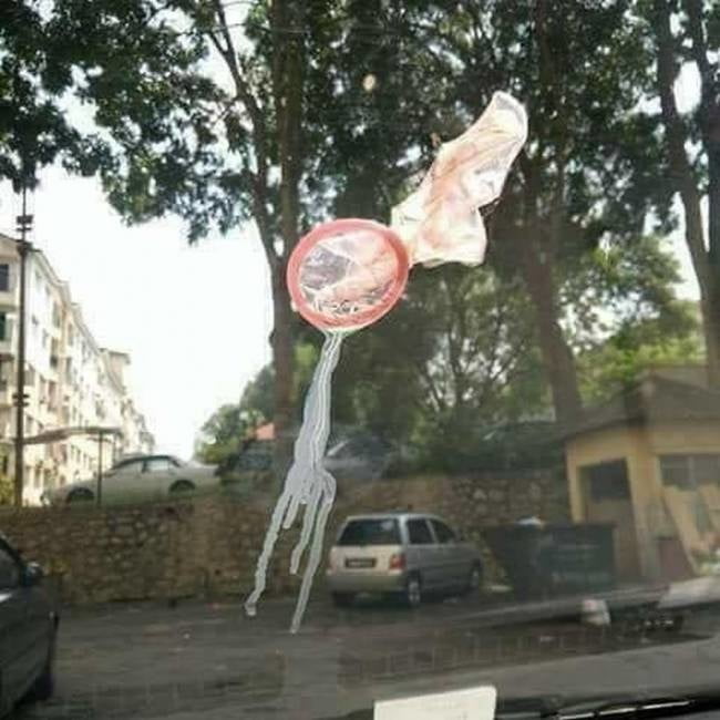 面白いセックスの写真
 #102527454