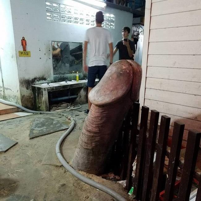 面白いセックスの写真
 #102527530