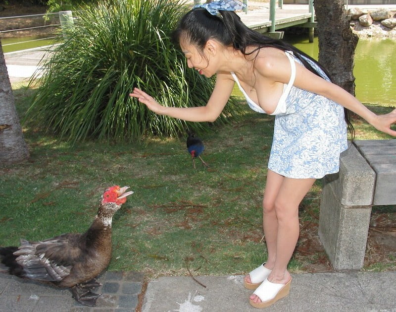 Mailee,s nice tits
 #87468311