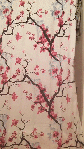 Frenesí de la carne de la cogida (49)
 #104741328