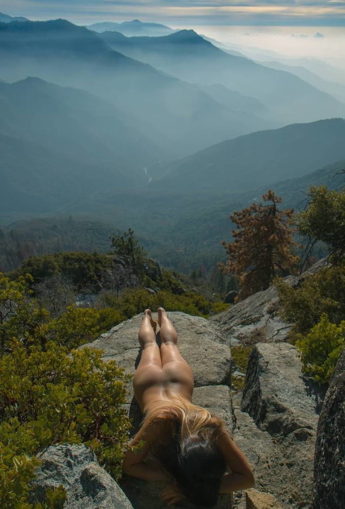 Königlich bräunende Hintern
 #105249520