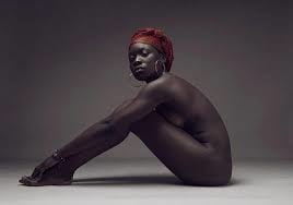 Piel de ébano
 #91053847