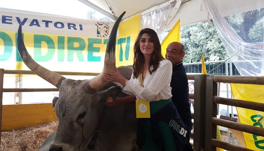 elisa isoardi #93159552