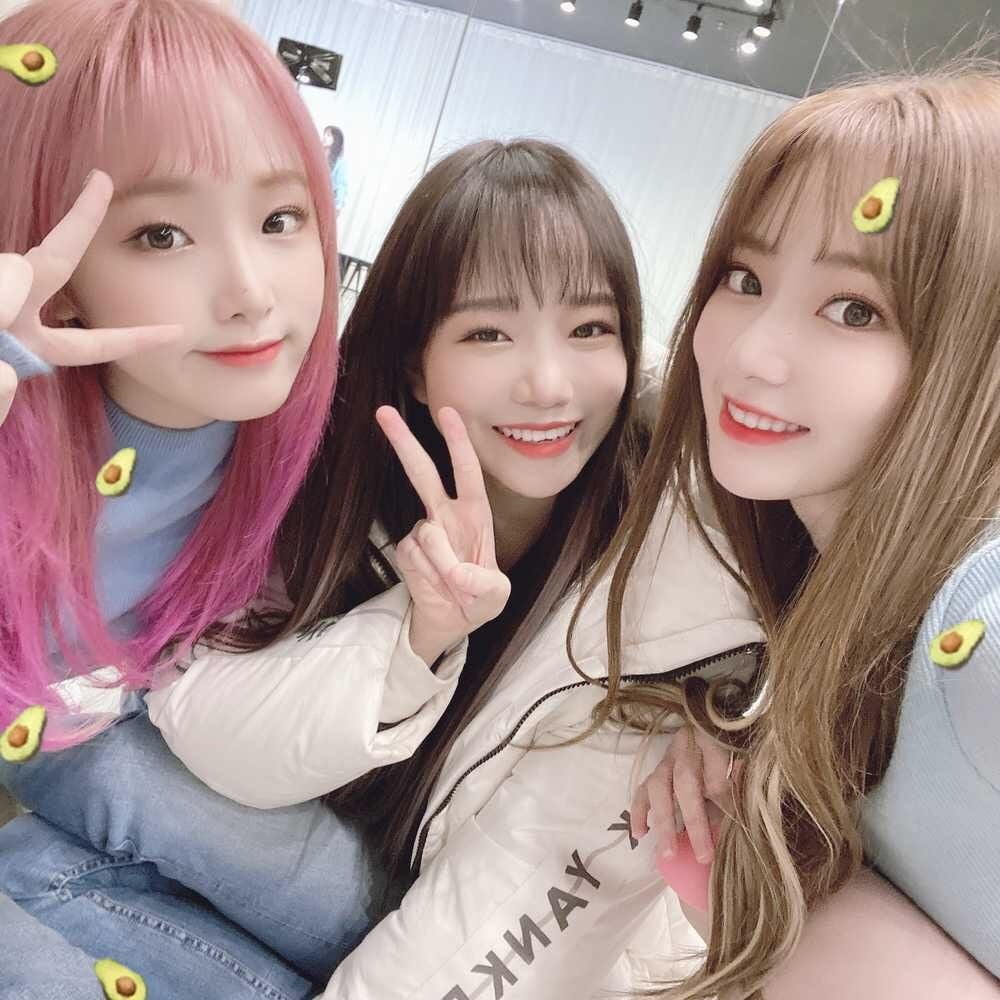 Izone yuri
 #90545420