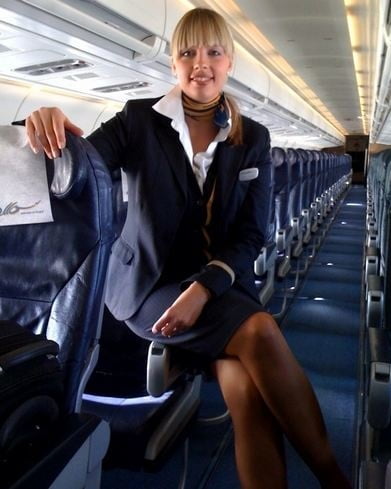 Stewardess
 #93634474
