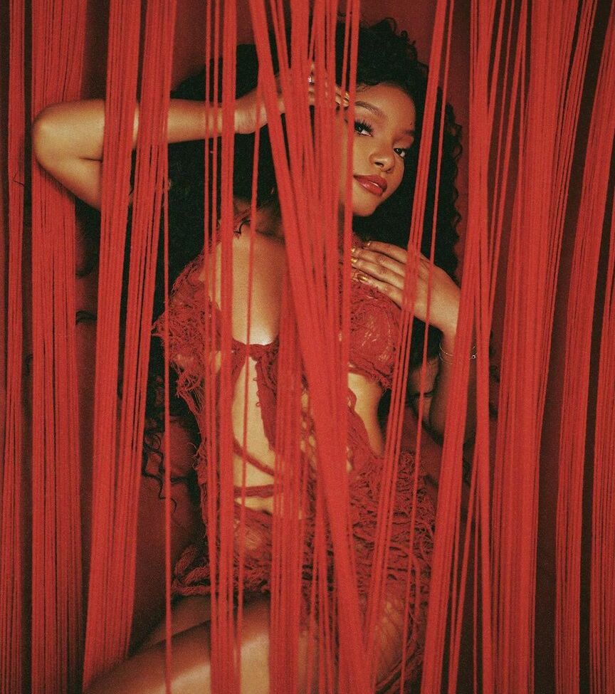 Halle Bailey desnuda #108631171