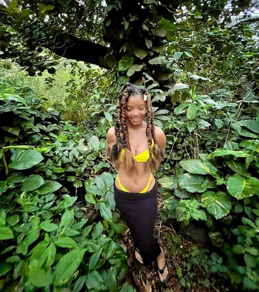 Halle Bailey desnuda #108631223