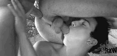 sex gif assorted without theme1 #104476334