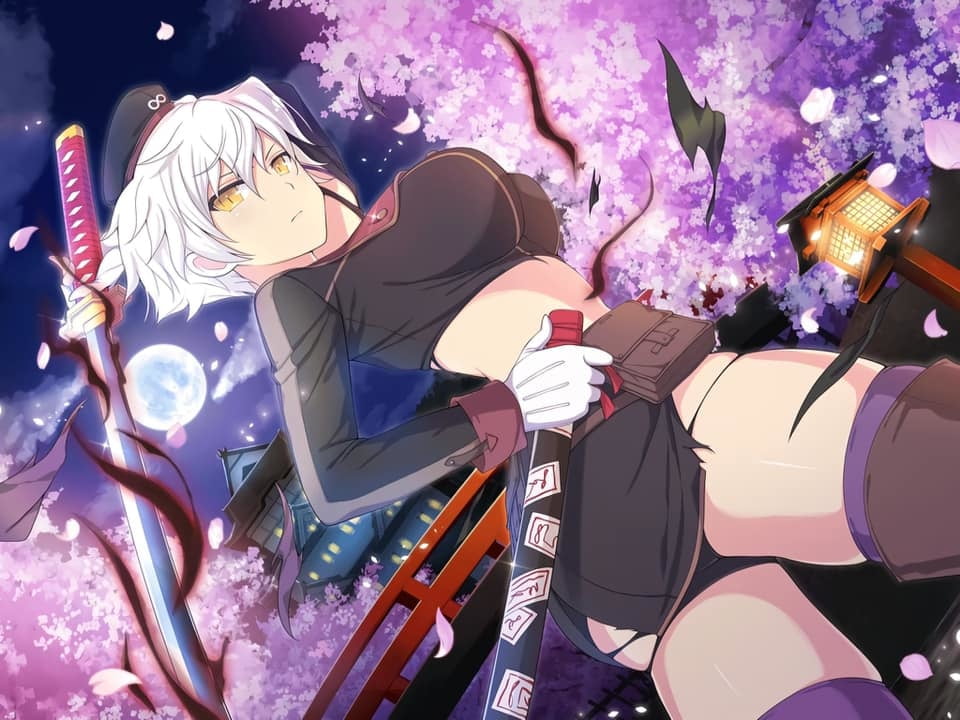 Hentai and Ecchi 85 #105897019