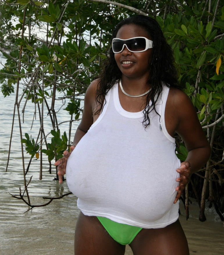 Fabuloso miosotis
 #105667937