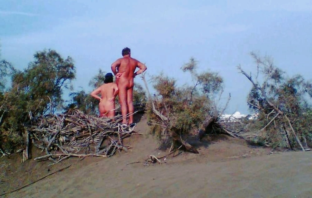 Naturist beach and sand dunes #97805658