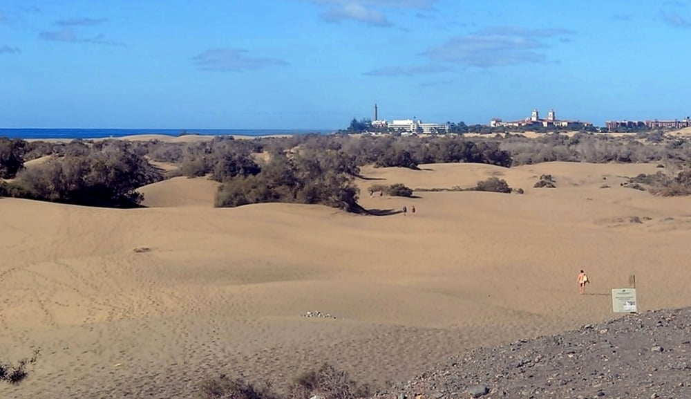 Naturist beach and sand dunes #97805660