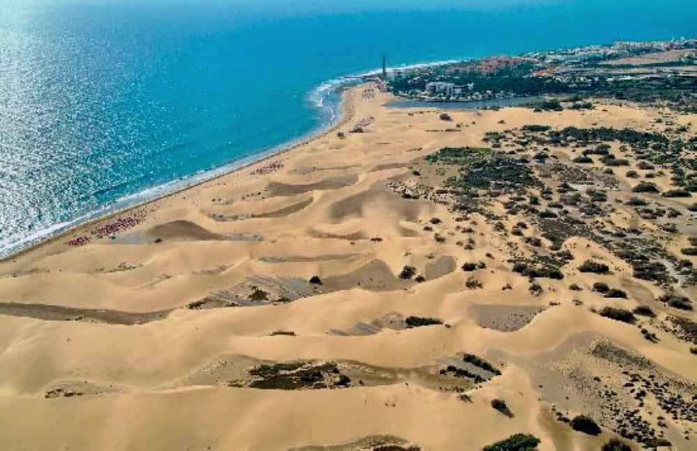 Naturist beach and sand dunes #97805661