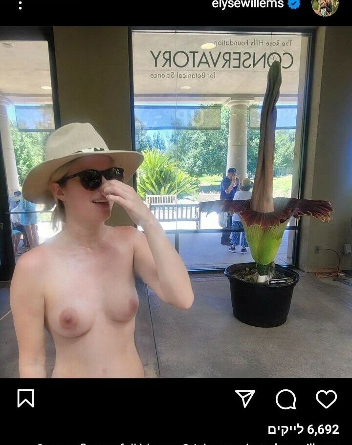 Elyse Willems nude #109631717
