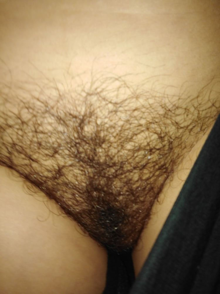 Hairy pussy #102054800