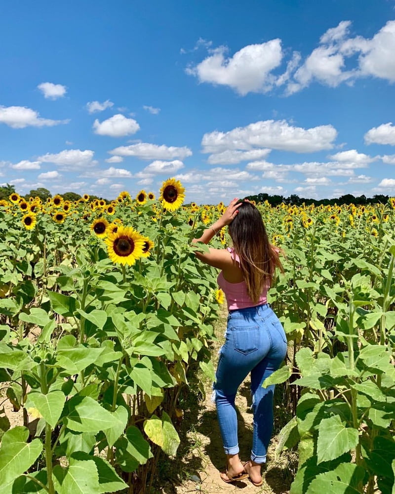 Die unglaublich sexy (Vol. 2)
 #91140195