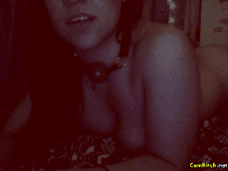 見事なGIF画像
 #89509408