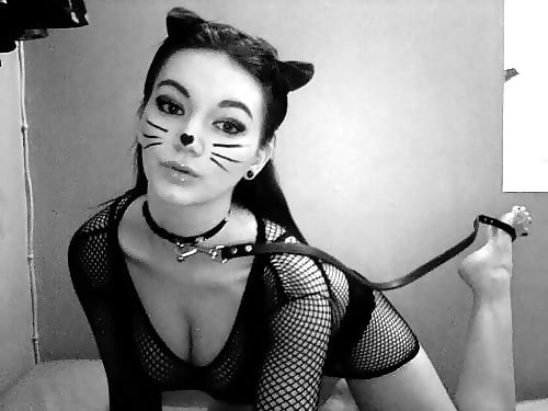 Bad Kitty ! #90752408